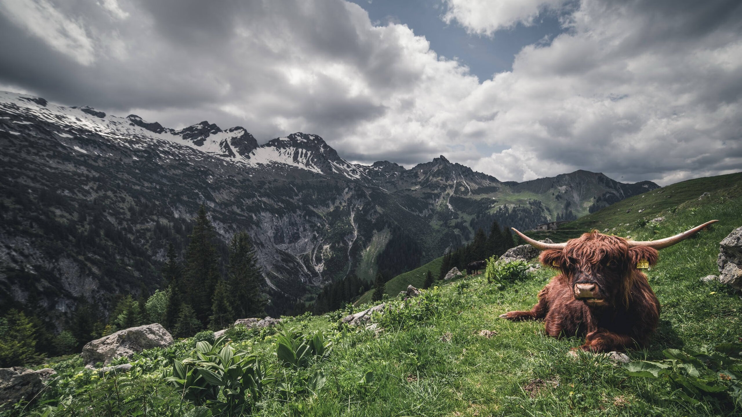 爱游戏中国官方网站平台-《王者荣耀超级总决赛，焦点战队精彩对决》，王者荣耀总决赛we are hero